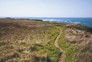 Headlands Walk Picture